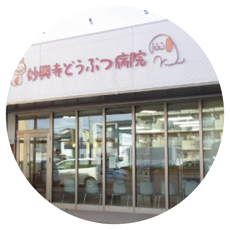 mv