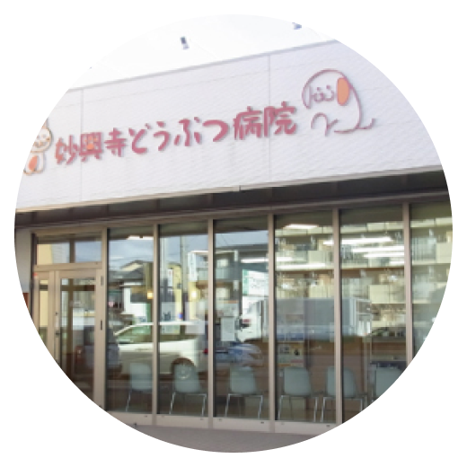 mv